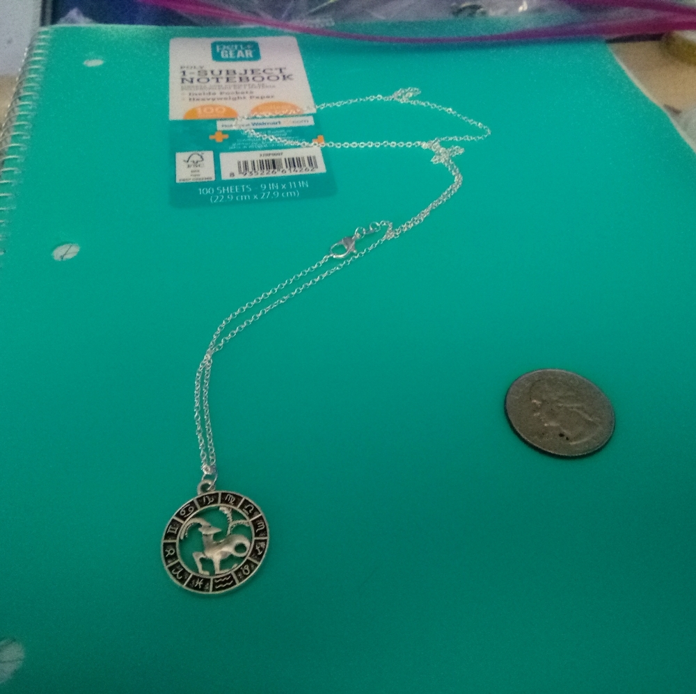 Silver Plated Aries Zodiac Charm Pendant Necklace